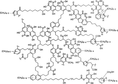 Illustrative chemical structure of humic acid, reproduced from the Maxyield product profile